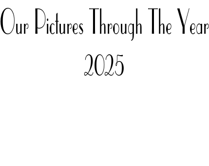 Our Pictures Through The Year 2025